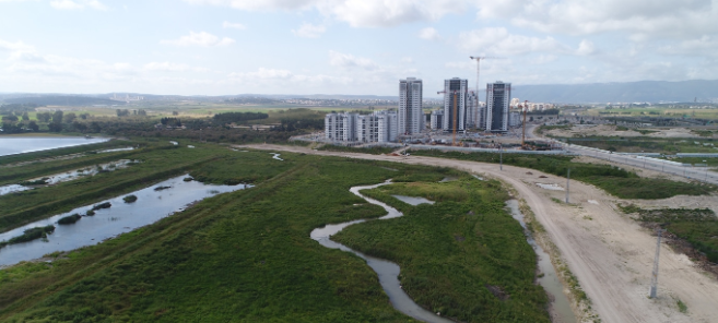 קרית ביאליק ניהול הנגר