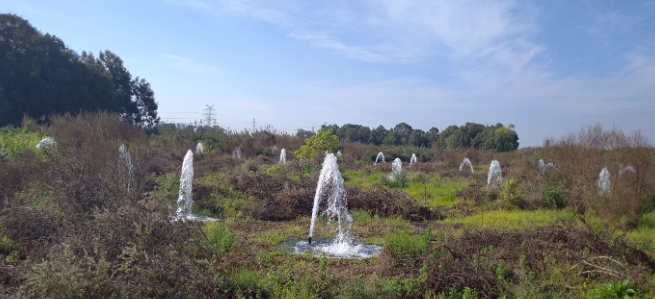 הוד השרון-ניהול הנגר